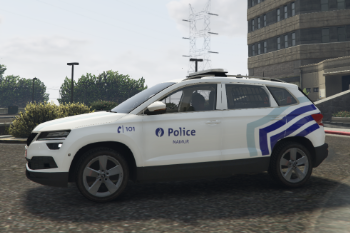 1a9c82 karoq police